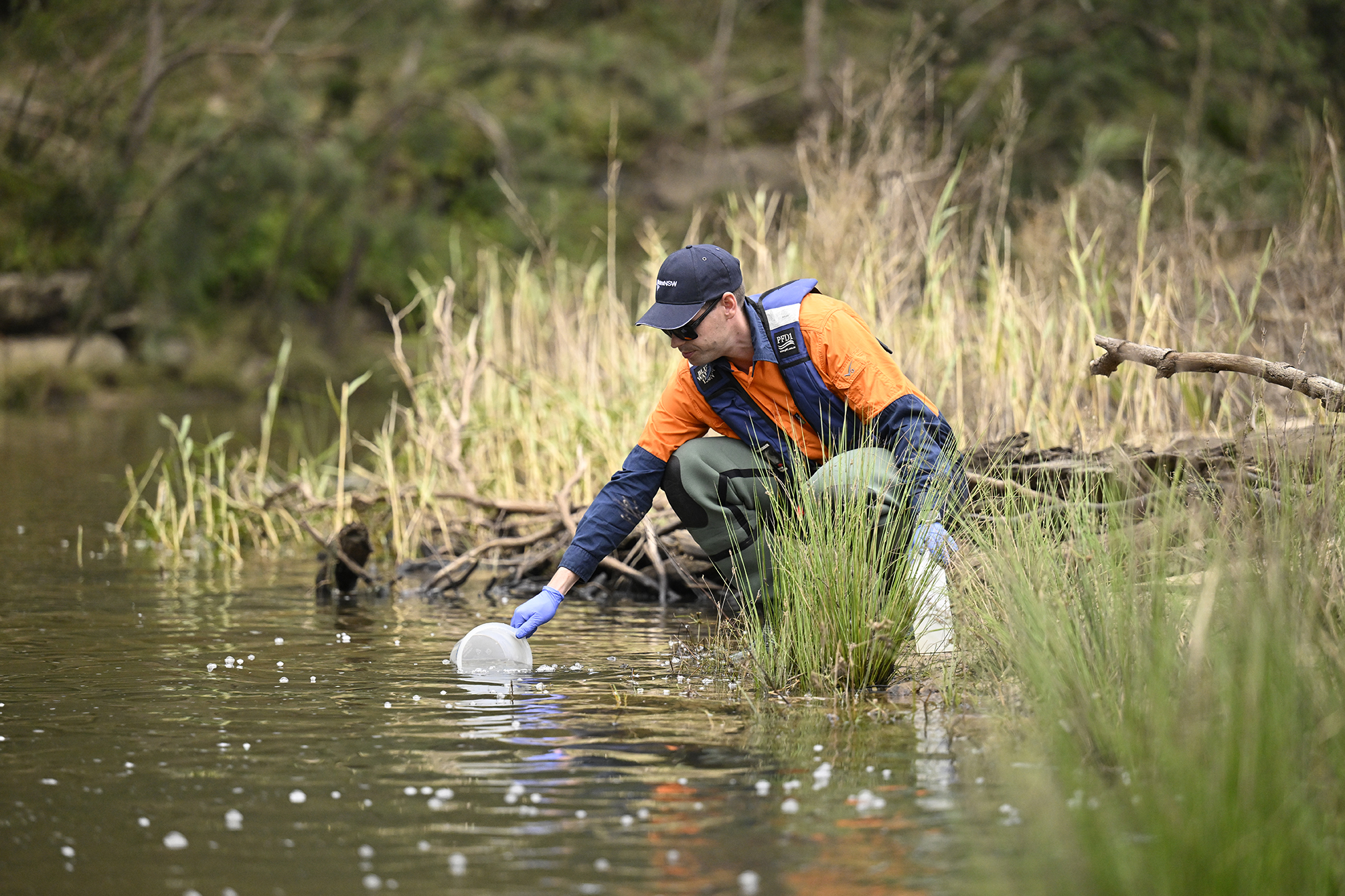 Water Quality API